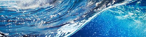 日本海参干鲍知识