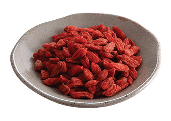 Ningxia Fructus (L)