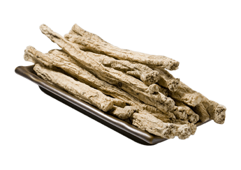 Pilosulae (M+)