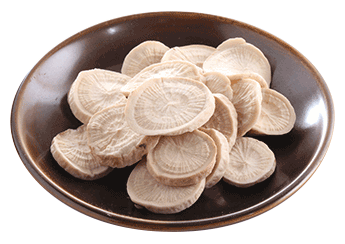Radix Peaoniae Alba Slices