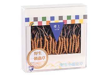 野生一級蟲草