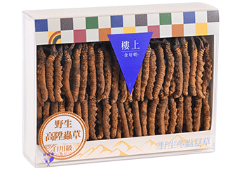 Wild Cordyceps (B grade)