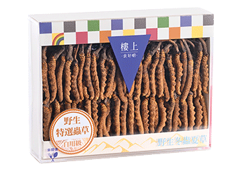 Wild Cordyceps (B grade)