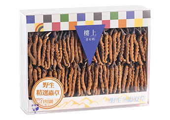Wild Cordyceps (B grade)