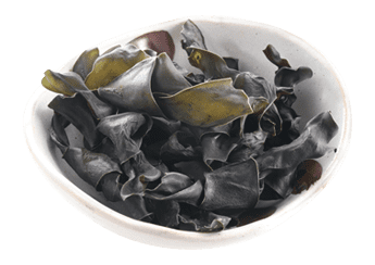 Kelp Bow