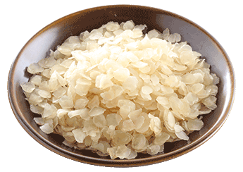 Honeylocust Seed