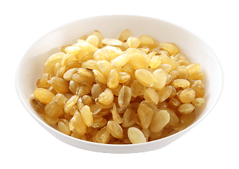Honeylocust Seed
