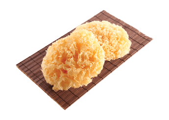 Snow Fungus