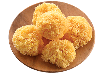Mini Gutian Snow Fungus