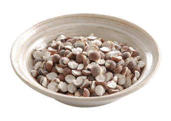 Euryale Seed
