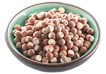 Euryale Seed