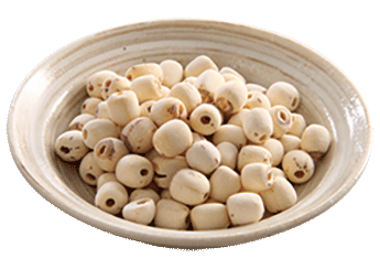 Lotus seed