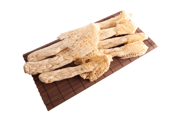 Selected Natural Long net stinkhorn