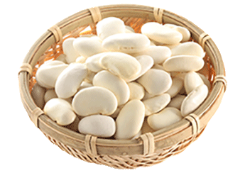 Selected White Speckled Kidney Bean