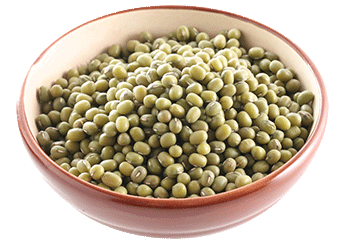 Mung Bean