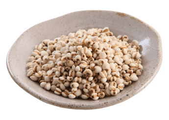 Natural Coix Seed (No Skin)