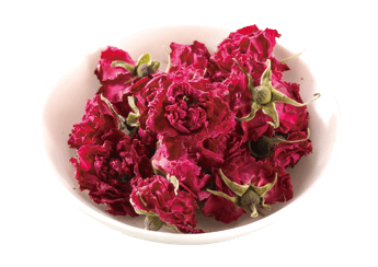 Dried Rose