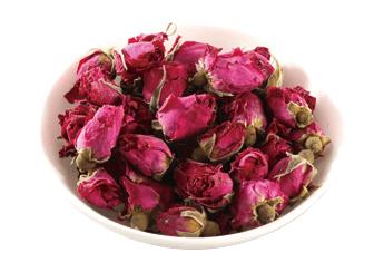 Selected Rose