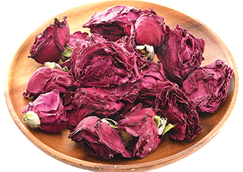 Dried Ink Red Rose