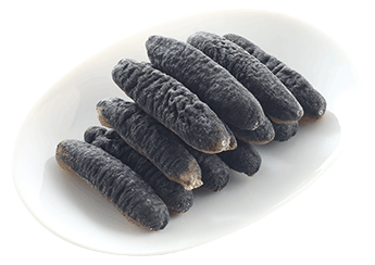 Sea Cucumber