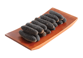 Sea Cucumber
