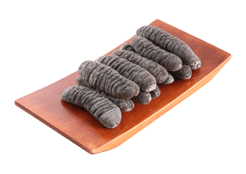 Sea Cucumber