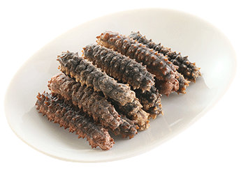 IndonesiaSea Cucumber