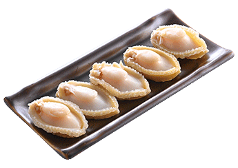 Frozen Fresh Abalone