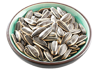 Selected Sunflower seeds