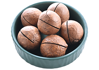 Roasted Macadamia Nuts (With Shell)