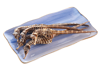 Extra-Premium Korean SeaHorse