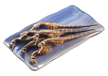 Exclusive Korean SeaHorse
