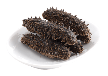 Hokkaidō Sea Cucumber (Featured)