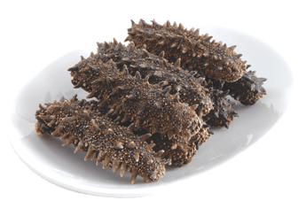 Hokkaidō Sea Cucumber (Featured)