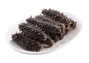 Hokkaidō Sea Cucumber (Featured)