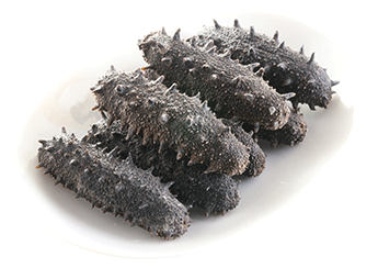 Kantō Sea Cucumber (Selected)