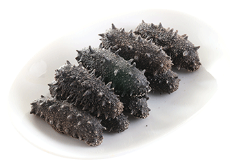 Kantō Sea Cucumber (Selected)