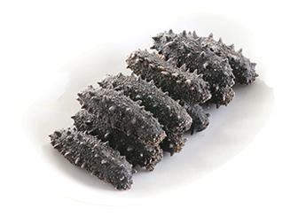 Kantō Sea Cucumber (Selected)