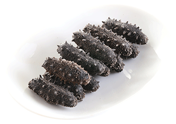 Kantō Sea Cucumber (Selected)
