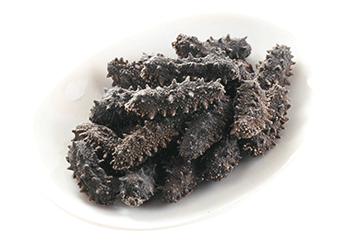 Kantō Sea Cucumber (Selected)