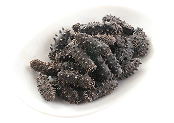 Kantō Sea Cucumber (Selected)