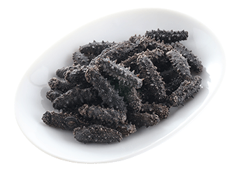 Kantō Sea Cucumber (Selected)