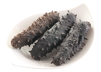 Kantō Sea Cucumber (Selected)