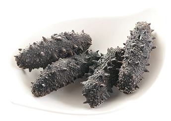 Kantō Sea Cucumber (Selected)