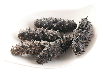 Kantō Sea Cucumber (Selected)