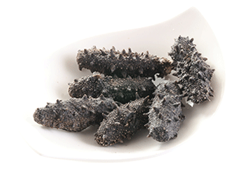 Kantō Sea Cucumber (Selected)