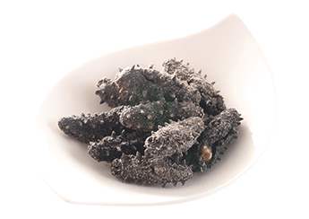 Kantō Sea Cucumber (Selected)