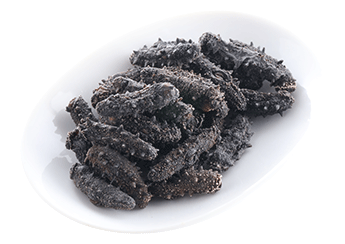 Kantō Sea Cucumber (Selected)