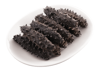 Kantō Sea Cucumber (Featured)