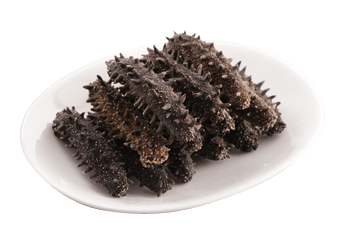 Kantō Sea Cucumber (Featured)